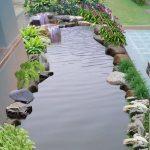desain taman kolam ikan minimalis